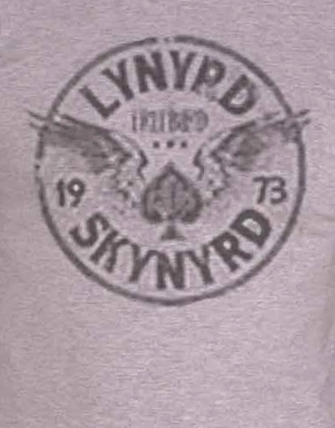 T Shirt Freebird 73 Wings Band Logo Official Mens Grey